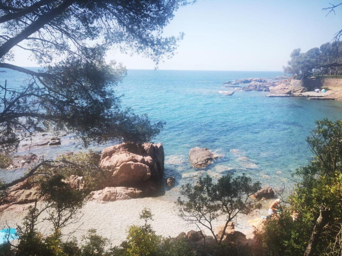 Mobil Home Neuf Camping L Ile Dor Plage St Raphael Avec Piscine Saint-Raphaël エクステリア 写真