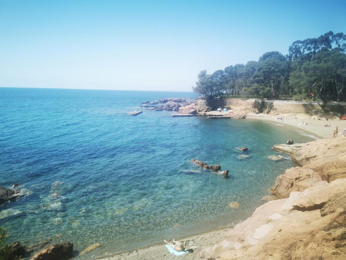 Mobil Home Neuf Camping L Ile Dor Plage St Raphael Avec Piscine Saint-Raphaël エクステリア 写真